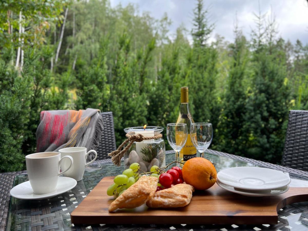 Dolina Wikingow-Apartament Suite Z Tarasem W Ogrodzie, Miejscem W Garazu I Dostepem Do Strefy Wellness Schreiberhau Exterior foto