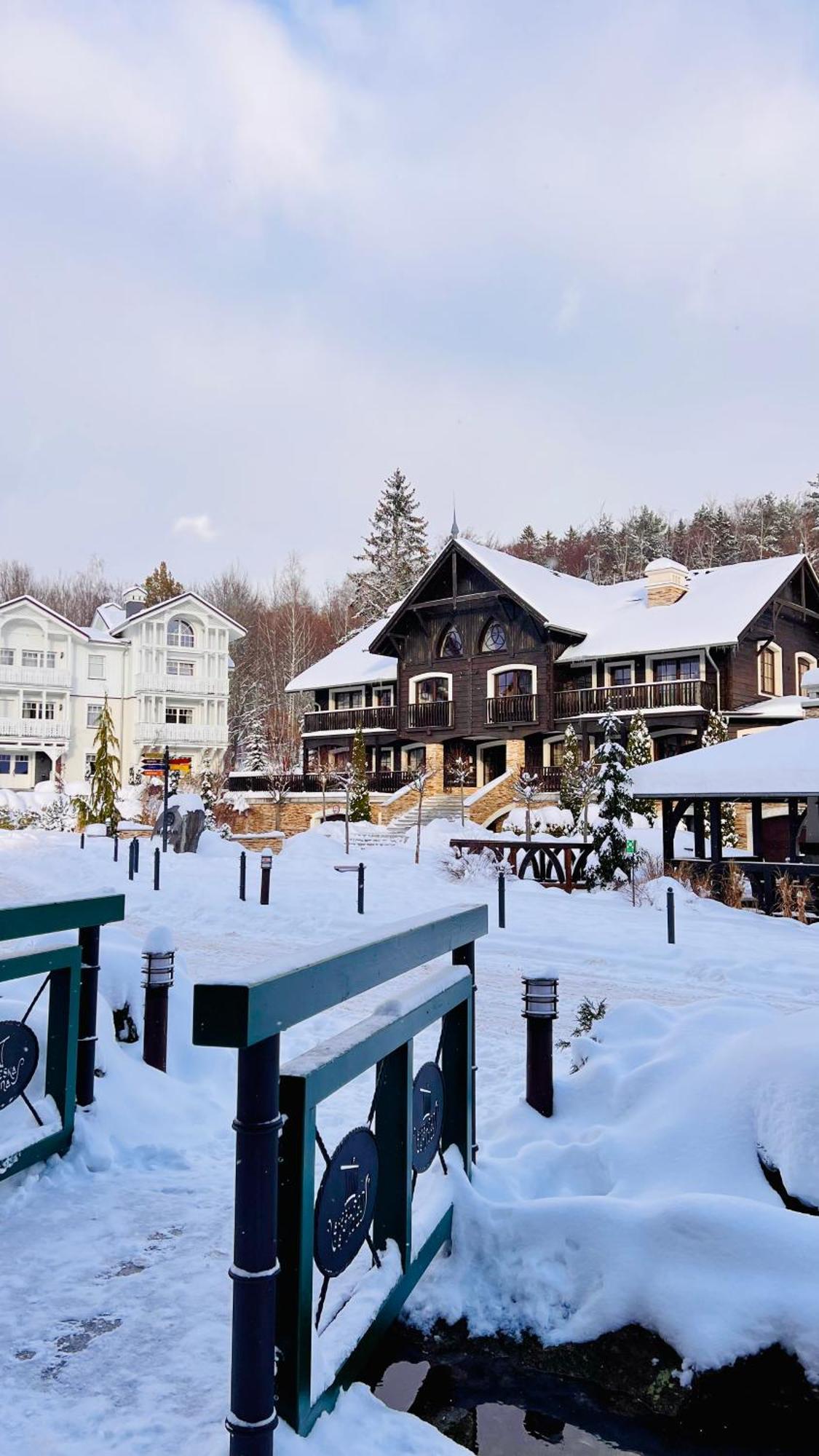Dolina Wikingow-Apartament Suite Z Tarasem W Ogrodzie, Miejscem W Garazu I Dostepem Do Strefy Wellness Schreiberhau Exterior foto